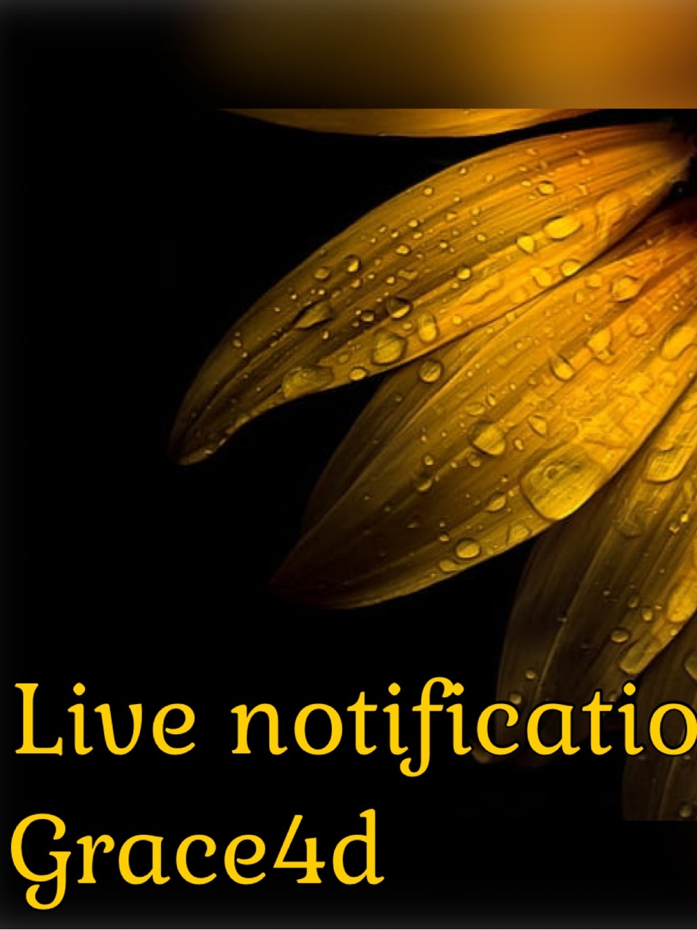 Thursdays 11:amLike this listing 4 notice by price drop! I’ve Treasures!